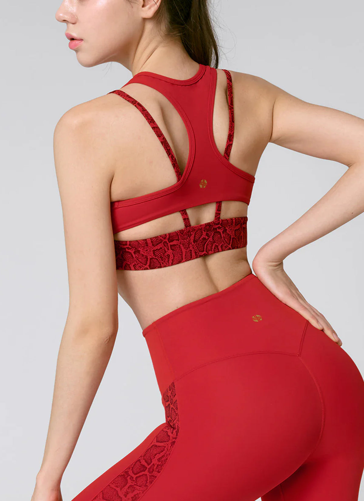 Black Label Power Rise Python Color Block Bra